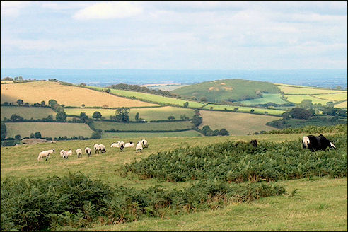 Dartmoor National Park