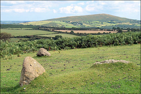 Dartmoor National Park