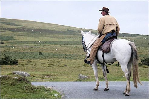 Dartmoor National Park