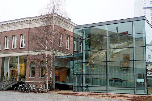 Natuurhistorisch Museum