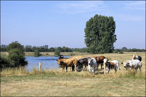Genneperhuis