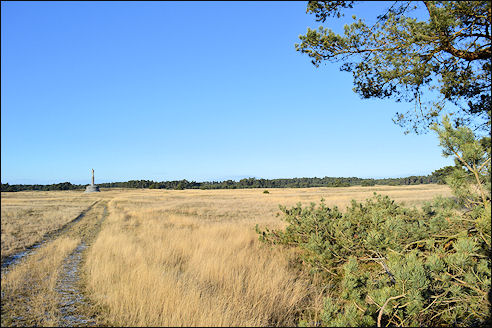 Hoge Veluwe