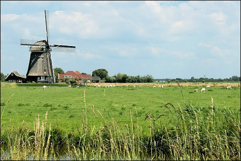 Uitgeest
