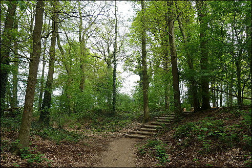 Bollenberg in Maria Hoop