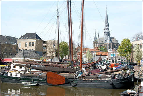 Gouda