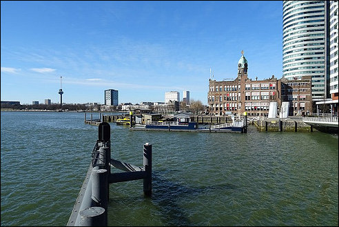 Rijnhaven in Rotterdam