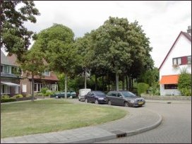 gezien vanaf de Kerkallee (h3667)