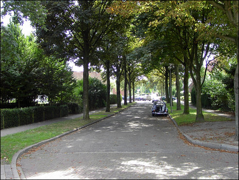vanaf de Zuider Parallelweg gezien (h3670)