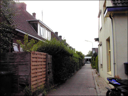 naar het westen gezien (h4110)