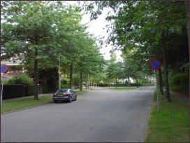 het kruispunt met Den Bruijl (h3797)