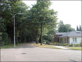 naar het noorden vanaf Den Bruijl (h3819)