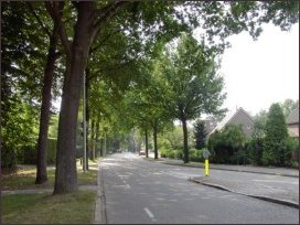 naar het zuiden vanaf de Hogeweg (h3793)
