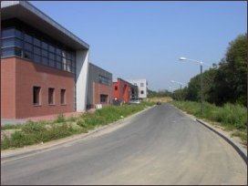 de Florijnweg naar het noordoosten aan de voet van de Broekdijk (h4451)