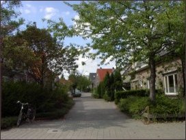 naar het noorden vanaf de van Pallandtstraat (h4078)