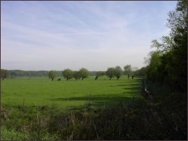 de uiterwaarden naar het oosten (h2031)