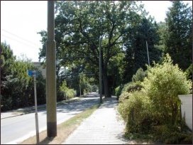 vanaf de Biesdelselaan (h4018)