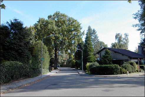 vanaf de Overbeeklaan (h4496)