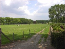 ter hoogte van de Reinaldstraat een blik op het landgoed Biljoen (h2334)