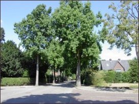 vanaf de Heemskerklaan naar het noordoosten (h3990)