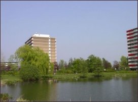 achterzijde van flats aan de Aalscholversingel (h1962)