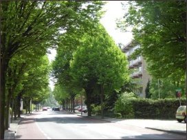 vanaf het Kokspad naar het zuiden (h2292)