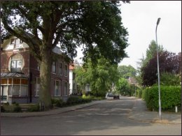 naar het westen vanaf de Vijverlaan (h3869)