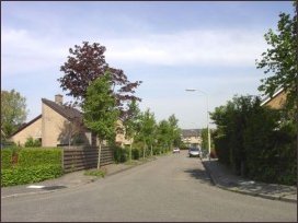 naar het noorden van af de Kraanvogelstraat (h2211)