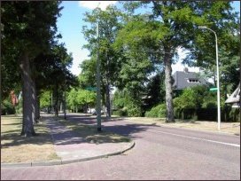 naar het noorden vanaf de Jan Steenlaan (h4002)