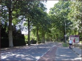 naar het westen vanaf de Dennenweg (h4012)