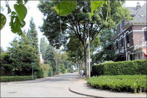 vanaf de Achtsprong (h3885)