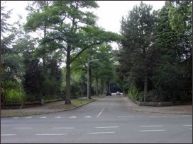 vanaf de Daalhuizerweg (h3712)