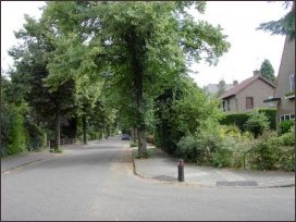 van de van Wassenaerlaan naar het zuiden (h4044)