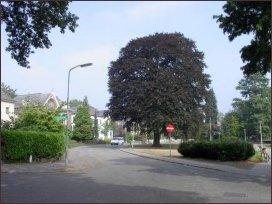 naar het noorden vanaf de Overbeeksingel (h3867)