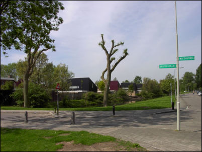 de Zwanensingel vanaf de Gruttostraat naar het oosten (h2230)