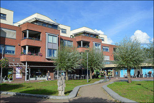 Wapenveld