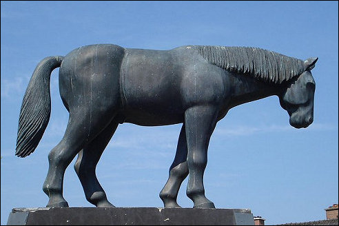 Schillepaard Schilderswijk