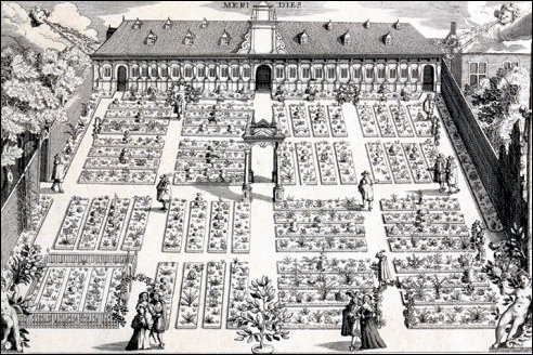 Hortus Botanicus Leiden