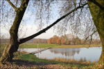 Blauwe Kamer