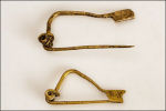 Fibula