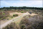 Mookerheide